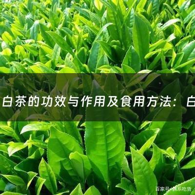 福鼎白茶的功效与作用及食用方法：白茶的功效与作用及食用方法(白茶的冲泡方法和功效 白茶的冲泡方法和功效分别是什么)