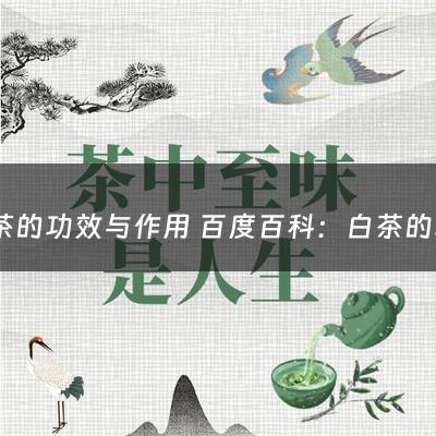 白茶的功效与作用 百度百科：白茶的功效与作用及食用方法(福鼎白茶有什么功效)