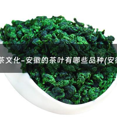 徽茶文化-安徽的茶叶有哪些品种(安徽名茶有哪些品种)