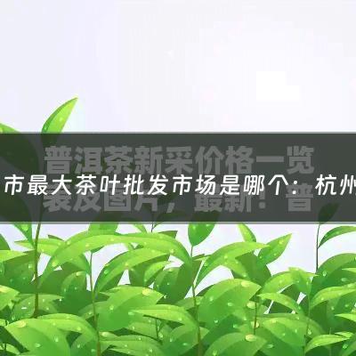 杭州市最大茶叶批发市场是哪个：杭州市最大茶叶批发市场(杭州在哪买的茶正宗？)