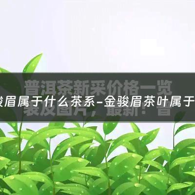 金骏眉属于什么茶系-金骏眉茶叶属于哪个茶系