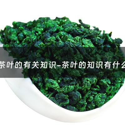 茶叶的有关知识-茶叶的知识有什么