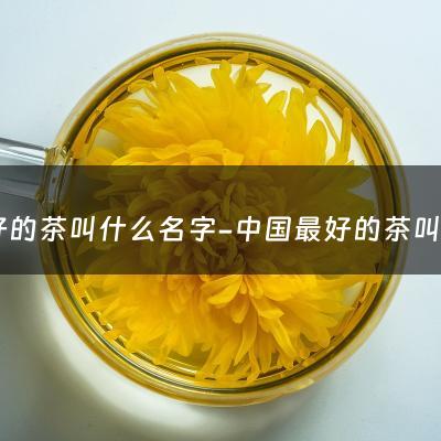 最好的茶叫什么名字-中国最好的茶叫什么名字