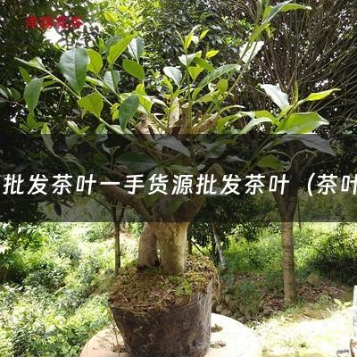 哪里批发茶叶一手货源批发茶叶（茶叶厂家直销批发联系方式电话）