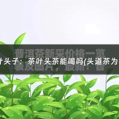 茶叶头子：茶叶头茶能喝吗(头道茶为什么不能喝？喝了可能会对身体造成哪些危害？)