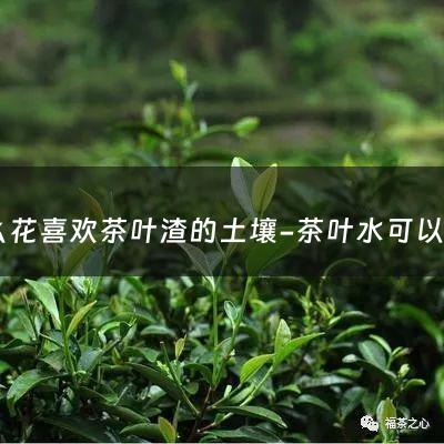 什么花喜欢茶叶渣的土壤-茶叶水可以浇月季花吗