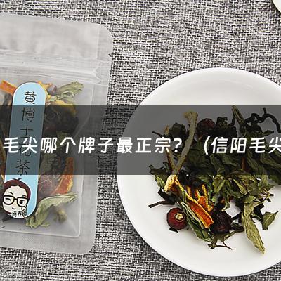 信阳毛尖哪个牌子最正宗？（信阳毛尖最好的产区）