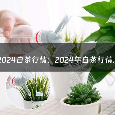 2024白茶行情：2024年白茶行情(安吉白茶是白茶还是绿茶？安吉白茶好喝吗？2024宋茗/极白/宋品/芳羽等安吉白茶品牌推荐)