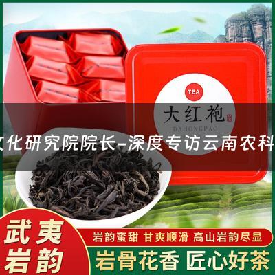 茶文化研究院院长-深度专访云南农科院茶科所所长何青元：关于普洱茶，你想知道的都在这里！