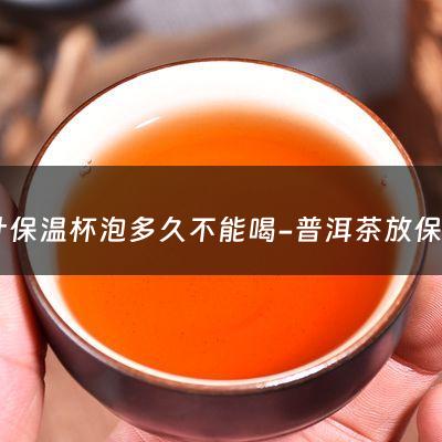 茶叶保温杯泡多久不能喝-普洱茶放保温杯里多少个小时不能喝