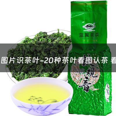 看图片识茶叶-20种茶叶看图认茶 看图识