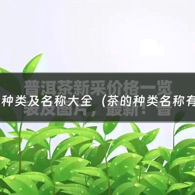 茶叶种类及名称大全（茶的种类名称有哪些）