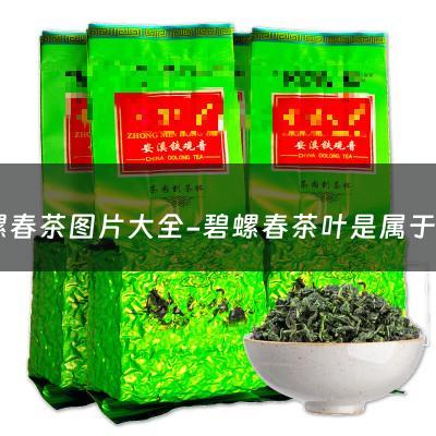 碧螺春茶图片大全-碧螺春茶叶是属于那种茶叶？