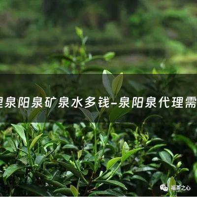 代理泉阳泉矿泉水多钱-泉阳泉代理需要多少钱