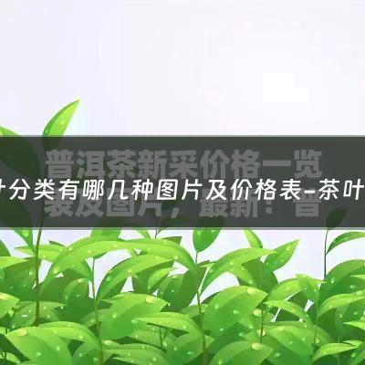 茶叶分类有哪几种图片及价格表-茶叶的分类百度百科