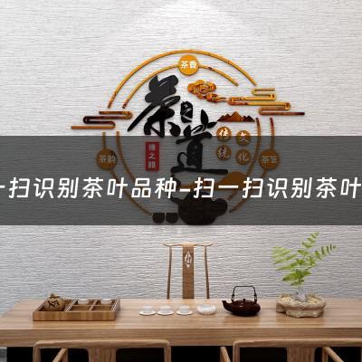 扫一扫识别茶叶品种-扫一扫识别茶叶的软件