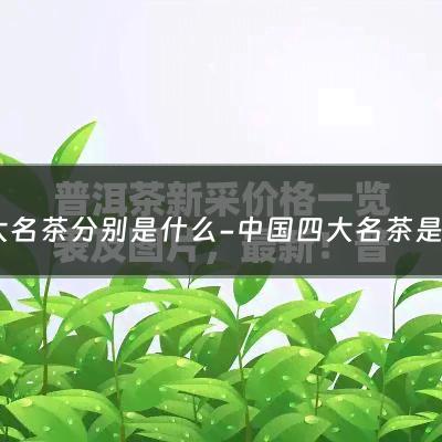 四大名茶分别是什么-中国四大名茶是哪四种