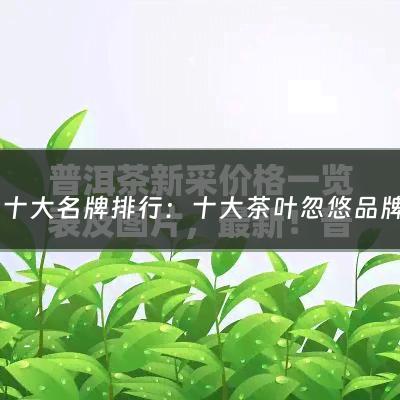 茶叶十大名牌排行：十大茶叶忽悠品牌排行榜最新(金针梅红茶与茶叶品牌营销专家许孙鑫)