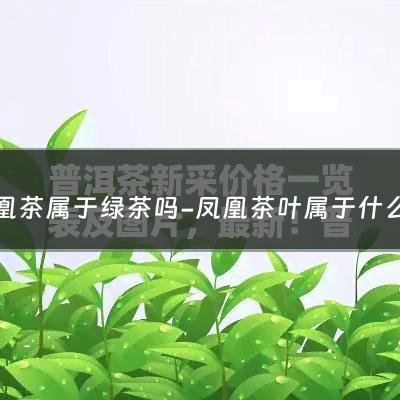 凤凰茶属于绿茶吗-凤凰茶叶属于什么茶