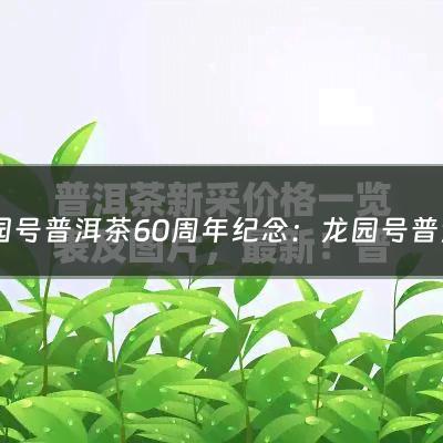 龙园号普洱茶60周年纪念：龙园号普洱熟茶价格(龙园号普洱茶的品质怎么样？)