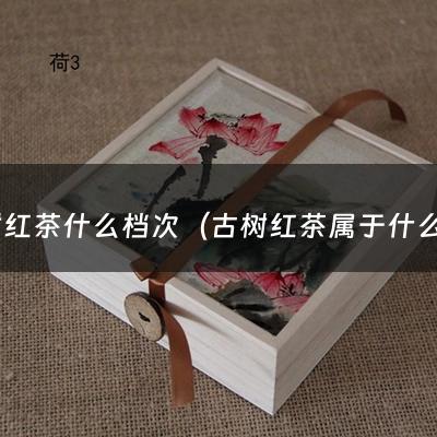 古树红茶什么档次（古树红茶属于什么档次）