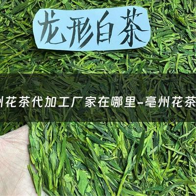 亳州花茶代加工厂家在哪里-亳州花茶小包装急招