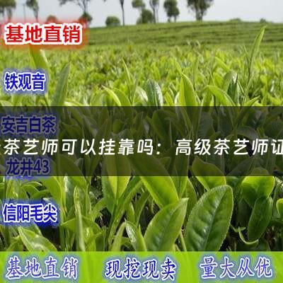 高级茶艺师可以挂靠吗：高级茶艺师证怎么考(茶艺师资格证怎么考？)