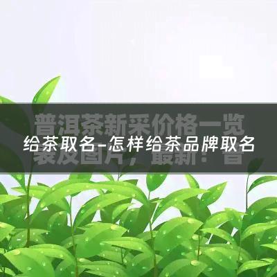 给茶取名-怎样给茶品牌取名