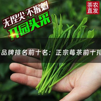 莓茶品牌排名前十名：正宗莓茶前十排名(哪家莓茶正宗)