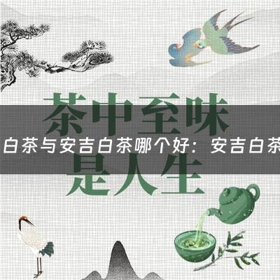 福鼎白茶与安吉白茶哪个好：安吉白茶与福鼎白茶的区别(安吉白茶和福鼎白茶的区别 安吉白茶和福鼎白茶有何不同)