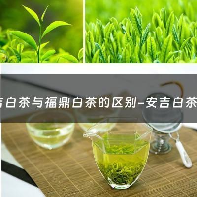 安吉白茶与福鼎白茶的区别-安吉白茶和福鼎白茶的区别是什么？