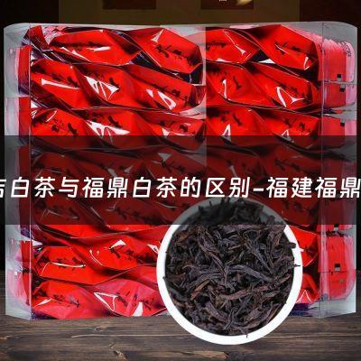 安吉白茶与福鼎白茶的区别-福建福鼎白茶和安吉白茶有何区别，哪种较名贵？