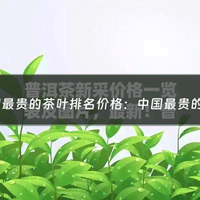 中国最贵的茶叶排名价格：中国最贵的茶叶(全国最好的茶叶多少钱一斤，价格高达520万一斤)