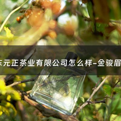 山东元正茶业有限公司怎么样-金骏眉哪个品牌正宗好喝